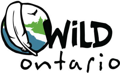 wildontariovolunteer